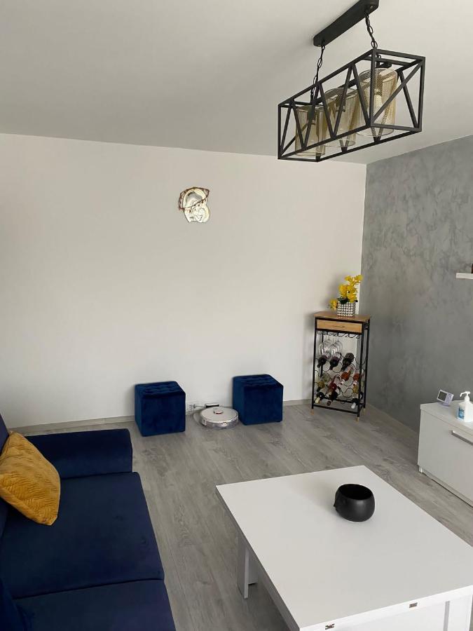 Alesandru Apartament Piteşti Buitenkant foto
