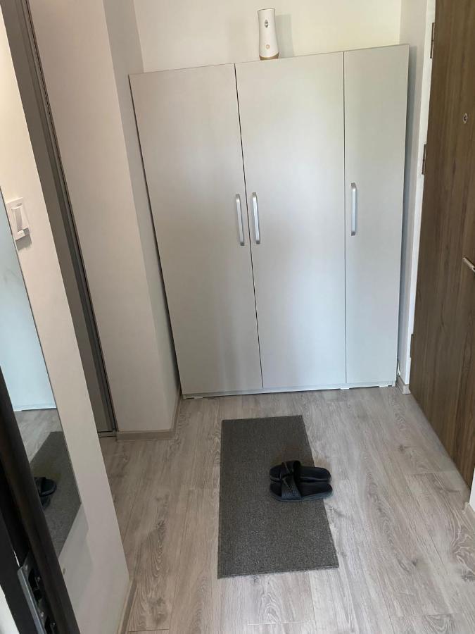Alesandru Apartament Piteşti Buitenkant foto