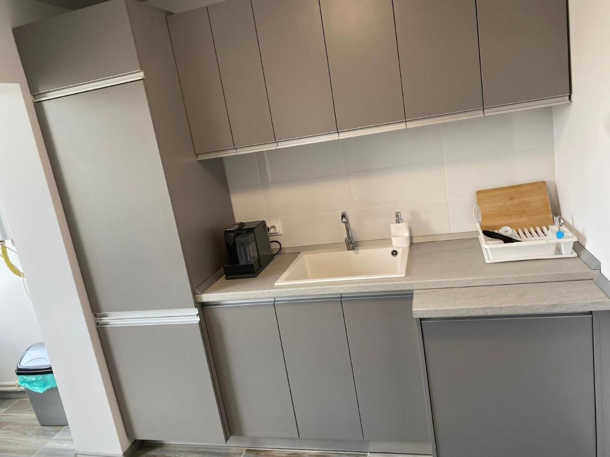 Alesandru Apartament Piteşti Buitenkant foto
