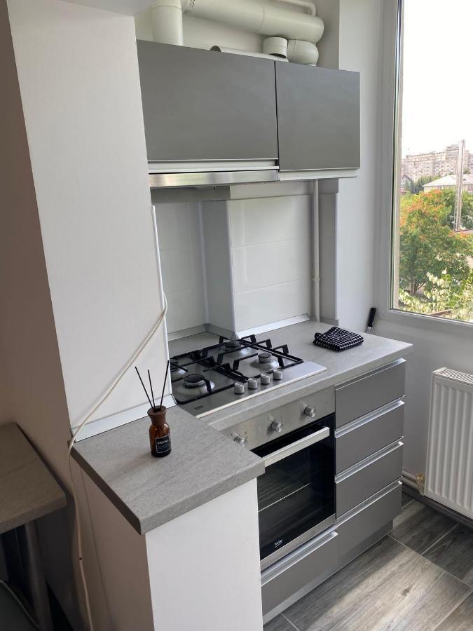 Alesandru Apartament Piteşti Buitenkant foto
