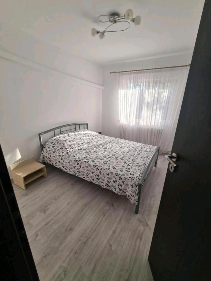 Alesandru Apartament Piteşti Buitenkant foto